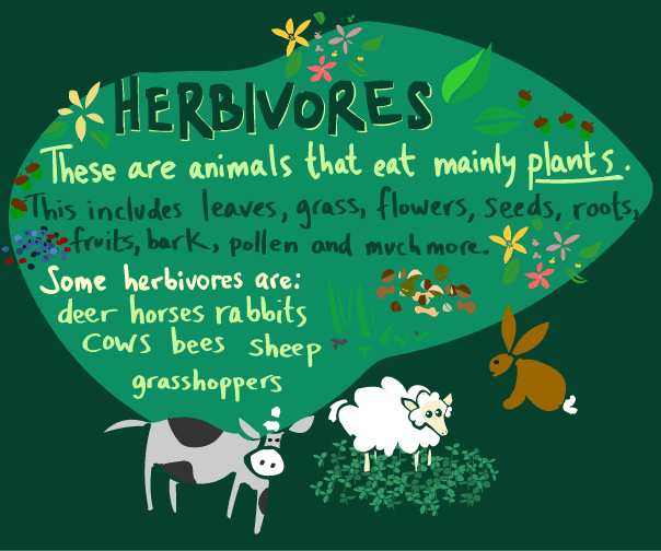 What are some examples of carnivorous animals?