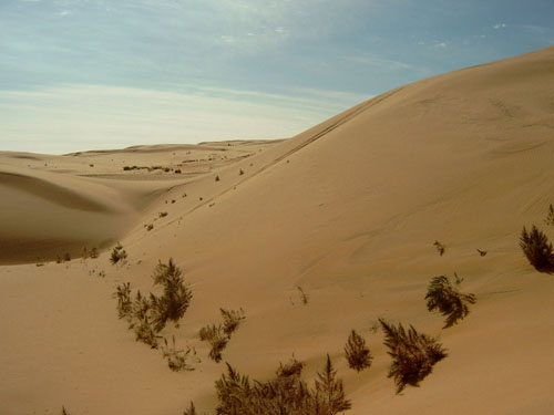 maps of the arabian desert