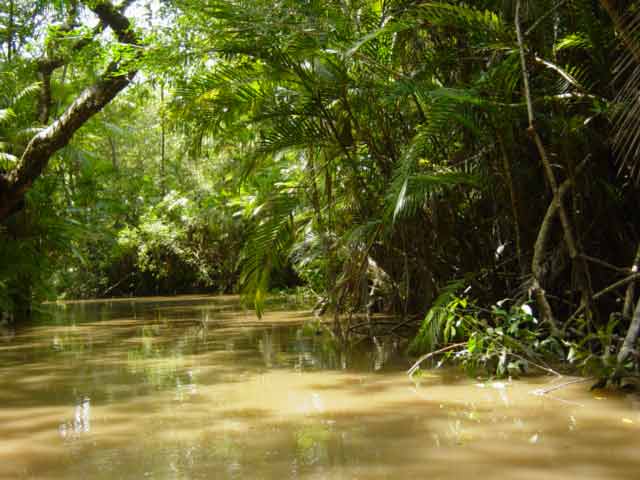 Amazonas for the Amazon.