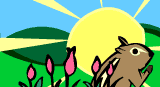 spring