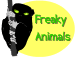 freaky animals