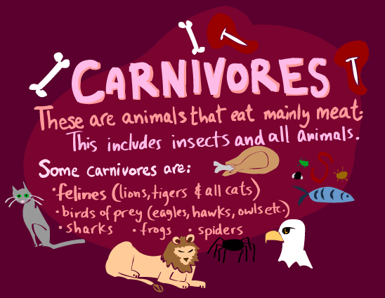 Carnivores - Kid's Corner - Sheppard Software