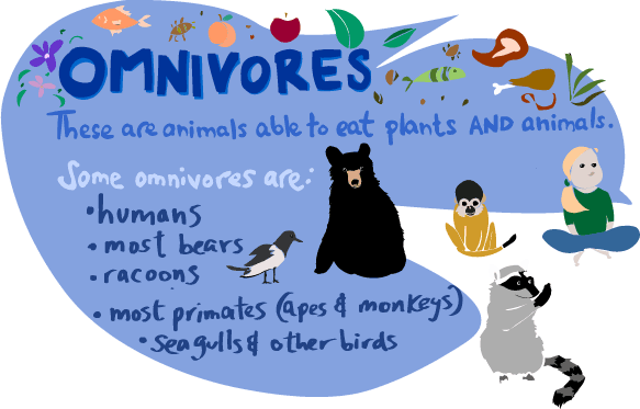 Omnivores - Kid's Corner - Sheppard Software