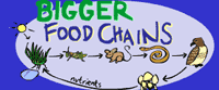 bigger chains