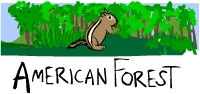 American Forest Game