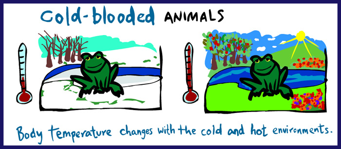 cold-blooded animals