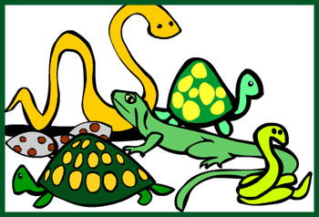 reptiles