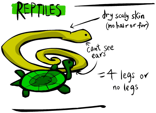 is a fish a reptile or amphibian