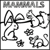 mammals