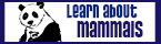 learn about mammals