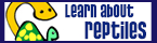 learn about reptiles