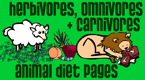 herbivores, omnivores, carnivores