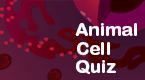 animal cell quiz