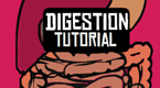 Digestion Tutorial