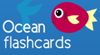 animal ocean flashcards