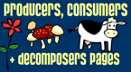producers, consumers, decomposers