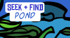 seek and find - pond