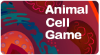 animal cell tutorial