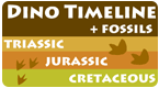 dinosaur timeline and fossils activity