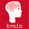 brain