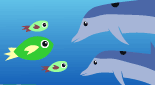 animal ocean